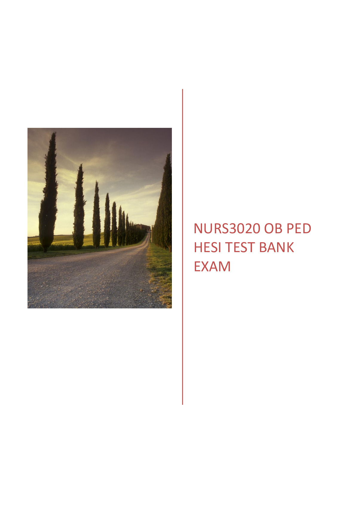 NURS3020 OB PED HESI TEST BANK EXAM  QUIZ AND CORRECT ANSWERS 2024-2025