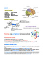 Biology notes (parts of the brain)