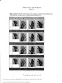 ASL Trueway  Unit 2 Worksheet