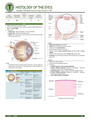 Histology of the Eyes