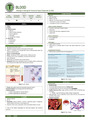 Histology of the Blood