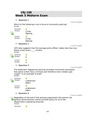 CRJ 100 Week 5 Midterm Exam