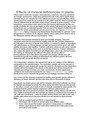 Mineral Deficiency Lab Report 2