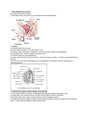 Human Reproduction