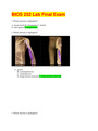 BIOS 252 Lab Final Exam /BIOS 252 Final Exam Study Guide (Complete 100% Correct)