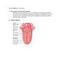 Human Anatomy and Physiology Midterm version 1A