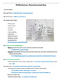 NR509 Immersion/ NR 509 Immersion (Latest 2022 / 2023) : Advanced Physical Assessment -