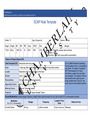 NR 509 Week 3 Neurology SOAP Note