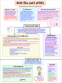 cell the unit of life mind map NEET - DocMerit
