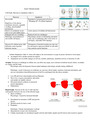 NURS 611 Exam 1 Study Guide. Latest Update.
