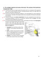 cartilages, ligaments and cavity of the larynx