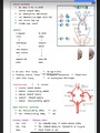MEDICAL NURCING ANATOMY NOTES PART (9).pdf