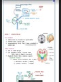 MEDICAL NURCING ANATOMY NOTES PART (5).pdf