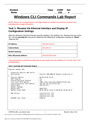 COMP 230 Week 1 Lab Windows CLI Commands Lab Report (GRADED).