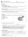 Frog Dissection Lab Sheet
