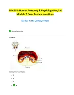 BIOL252: Human Anatomy & Physiology II w/Lab  Module 7 Exam Review questions  Module 7: The Urinary