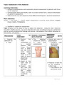 Nursing - Assessment of the Abdomen