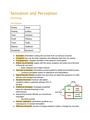 General Psychology: Sensation and Perception