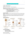 BIOS 242 Final Exam Guide / BIOS242 Final Exam Guide(V5):Microbiology :Chamberlain(LATEST-2020/21)