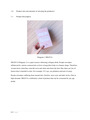 [MGT] International Business Group Assignment (international online selling)