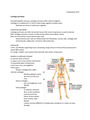 Anatomy Bundle Pt. 1