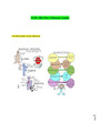 NUR 280-The Ultimate Guide 2021