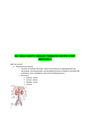 GU- MALE GENITO-URINARY PROBLEMS REVIEW SHEET MEDSURG 2 (NEW-2021)| VERIFIED, 100% CORRECT