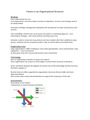 Factors in an Organizational Structure