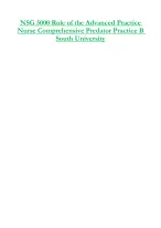 NSG 5000 Role of the Advanced Practice  Nurse Comprehensive Predator Practice B  South University