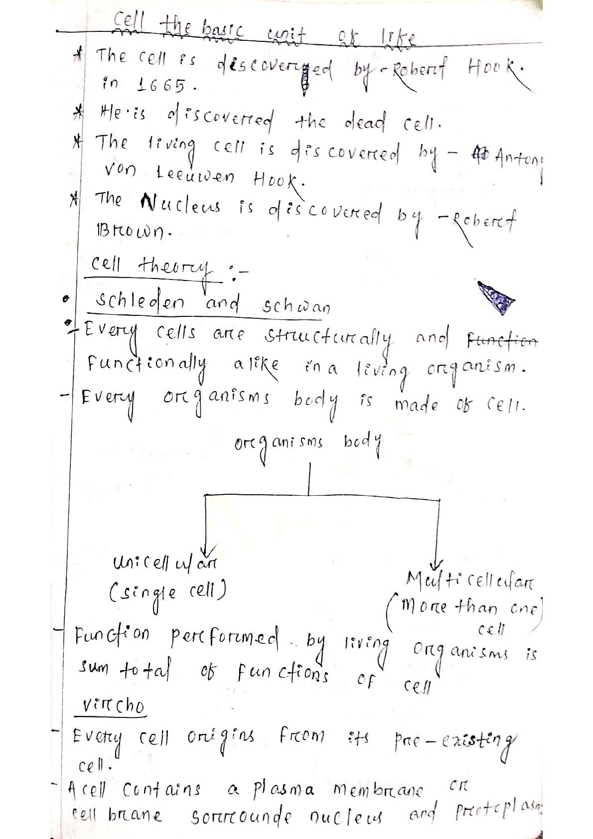 cell the unit of life mind map NEET - DocMerit