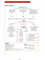 AS 2 - Valuation of Inventories - Exam Oriented Mindmap