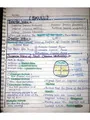 SKULL ANATOMY | With Labels ( HANDWRITTEN NOTES ) - DocMerit