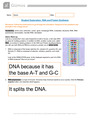 GIZMOS STUDENT  EXPLORATION : RNA and Protein Synthesis   latest update 2024