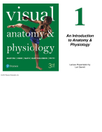 Anatomy & Physiology